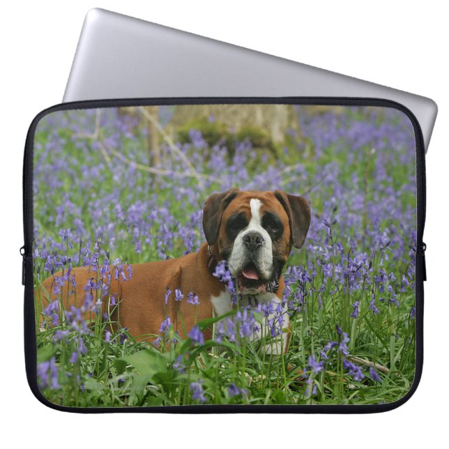 Boxer, der in Bluebells legt Laptopschutzhülle (Vorderseite)