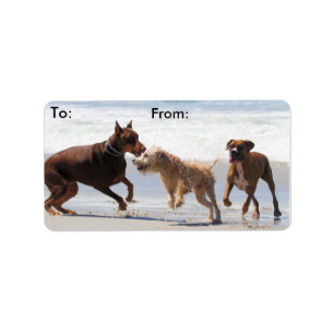 Boxer-Dobermann - Spiel-Datum am Strand Adressaufkleber