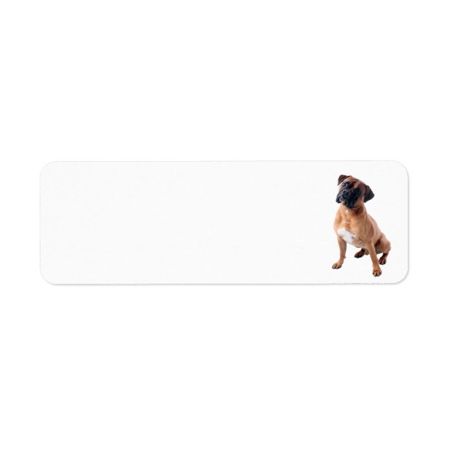 Boxer Dog 2 (Vorne)