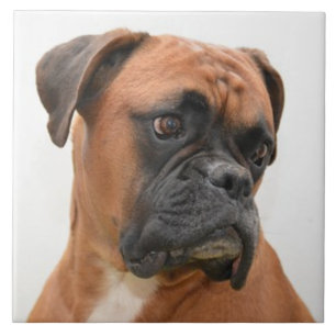 BOXER DOG 3, Haustier-Liebe, Bester Freund-KEEPSAK Fliese