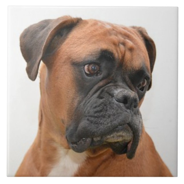 BOXER DOG 3, Haustier-Liebe, Bester Freund-KEEPSAK Fliese (Vorderseite)