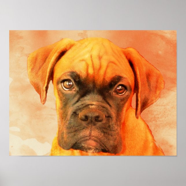 Boxer Dog Art Poster (Vorne)