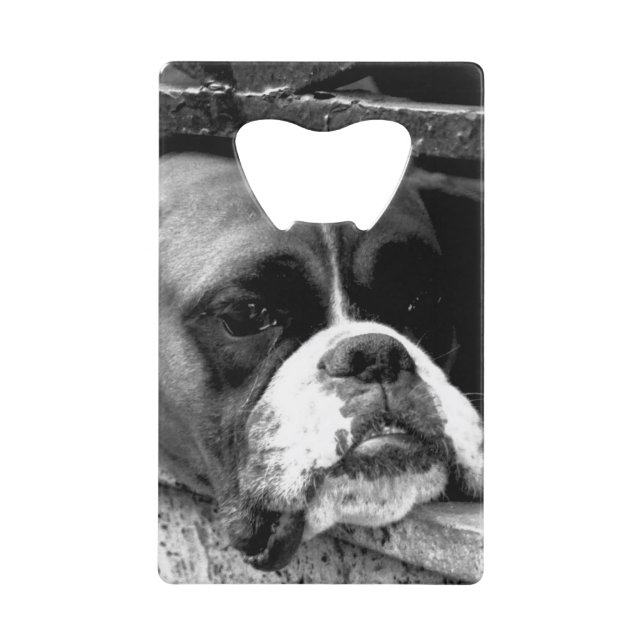 Boxer Dog auf der Windows-Bocnm Geldbeutel Flaschenöffner (Vorderseite)