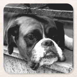 Boxer Dog auf der Windows-Küste Rechteckiger Pappuntersetzer