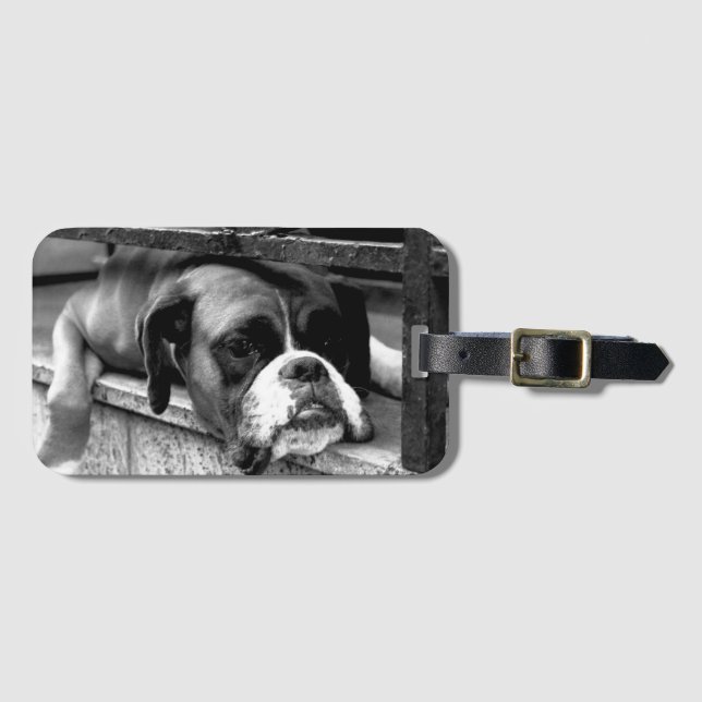 Boxer Dog auf Windows bc ltcnm Gepäckanhänger (Vorderseite (Horizontal))