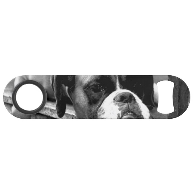 Boxer Dog auf Windows bocna Speed Flaschenöffner (Vorderseite (Horizontal))