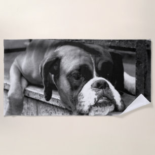 Boxer Dog auf Windows btcn Strandtuch