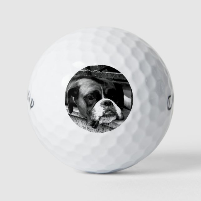 Boxer Dog auf Windows cwb gbcna Golfball (Vorderseite)