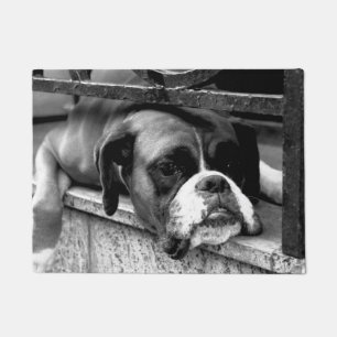 Boxer Dog auf Windows dmm Fußmatte