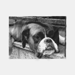 Boxer Dog auf Windows fbcn Fleece Blanket