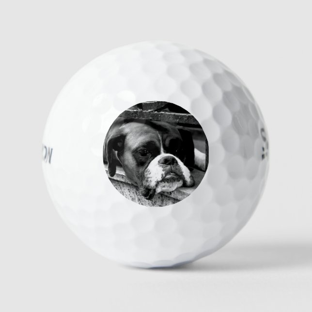 Boxer Dog auf Windows ssf gbcna Golfball (Vorderseite)