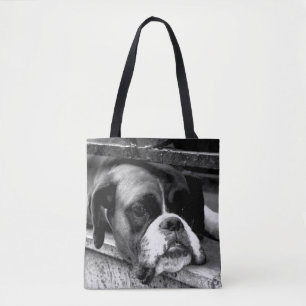 Boxer Dog auf Windows-stcnm