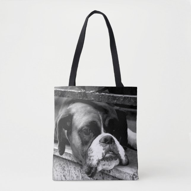 Boxer Dog auf Windows-stcnm (Vorderseite)