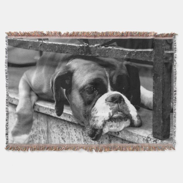Boxer Dog auf Windows tbcnm Decke (Vorderseite)