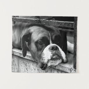 Boxer Dog auf Windows wtcna Wandteppich