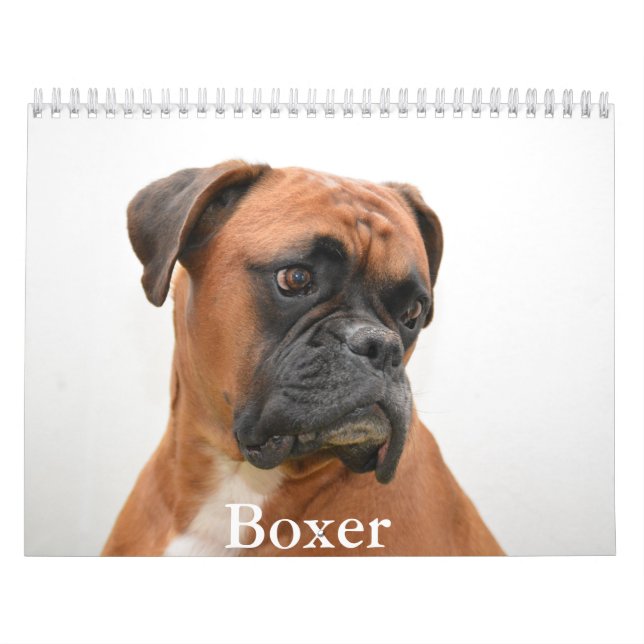 Boxer Dog Calendar Kalender (Titelbild)