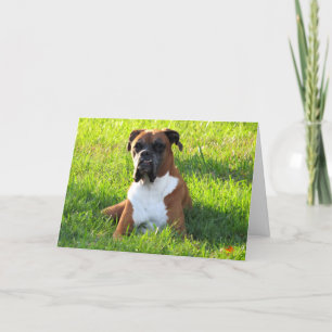 Boxer Dog Grußkarte Karte
