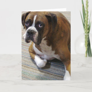 Boxer Dog Grußkarte Karte
