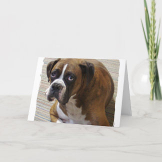 Boxer Dog Grußkarte Karte
