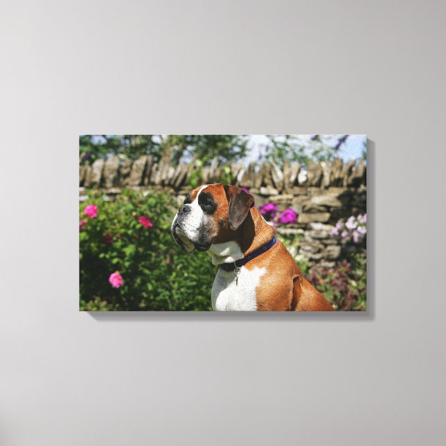 Boxer Dog in den Blume Leinwanddruck (Vorderseite)