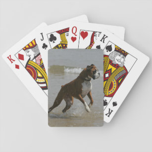 Boxer Dog in Wasser Spielkarten