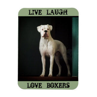 Boxer Dog Kühlschrank Magnet