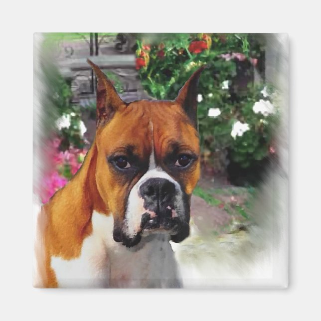 Boxer Dog Kunstgeschenke Magnet (Vorne)