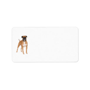 Boxer Dog Labels Adressaufkleber