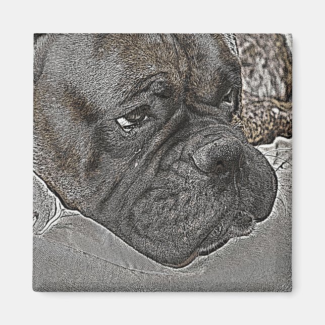 Boxer Dog Magnet (Vorne)