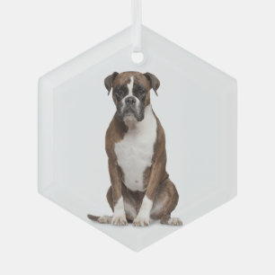 Boxer Dog Pet Animal Glass Ornament Aus Glas