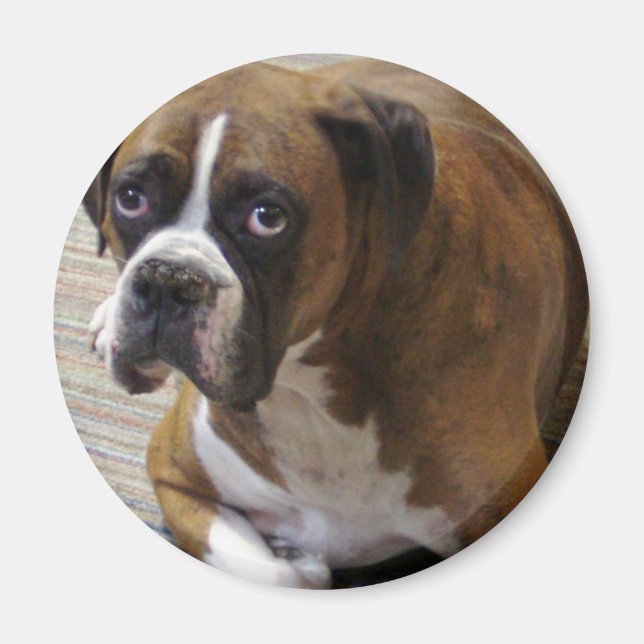Boxer Dog Round Magnet (Vorne)