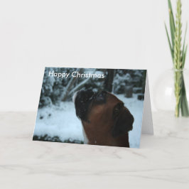 Boxer dog scherzt Weihnachtskarte Feiertagskarte