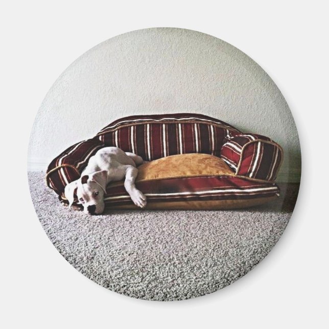 Boxer Doggie Magnet (Vorne)