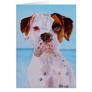 Boxer durch das Meer