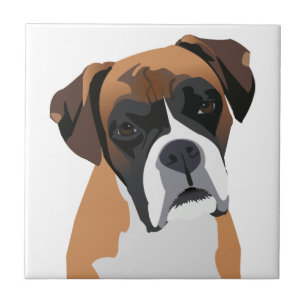 Boxer Fliese