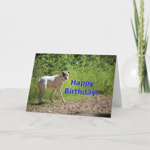 Boxer Geburtstag Karte