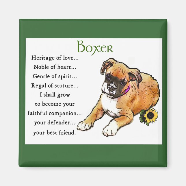 Boxer Geschenke Magnet (Vorne)