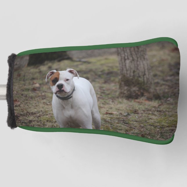Boxer Golf Headcover (Vorderseite)