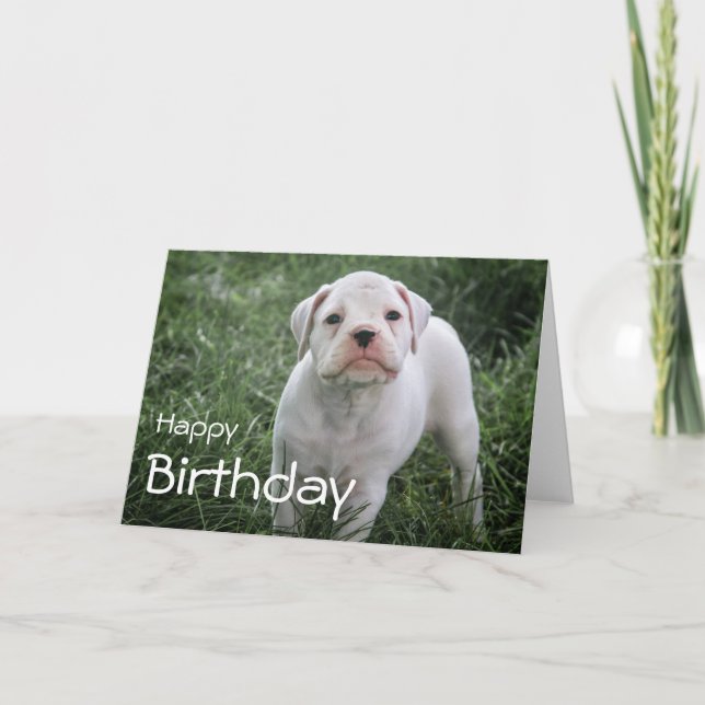 Boxer Happy Birthday Card Karte (Vorderseite)