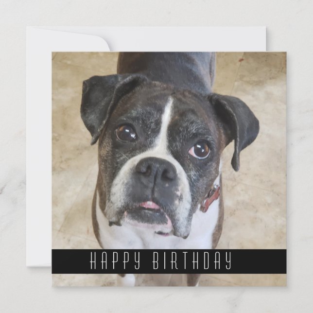 Boxer Happy Birthday From Dog Birthday Card Ankündigung (Vorderseite)