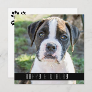 Boxer Happy Birthday wünscht Geburtstagskarte Ankündigung