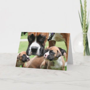 Boxer - Hubschrauber-Mama Karte