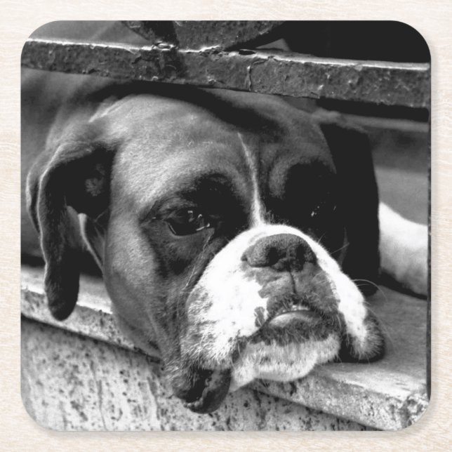 Boxer Hund an der Küste von Windows Rechteckiger Pappuntersetzer (Vorderseite)