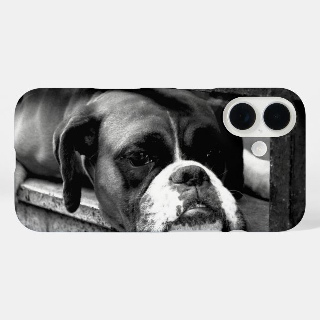 Boxer Hund auf Windows iphcna Case-Mate iPhone Hülle (Rückseite (Horizontal))