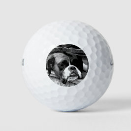 Boxer Hund auf Windows mit gbcnm Golfball