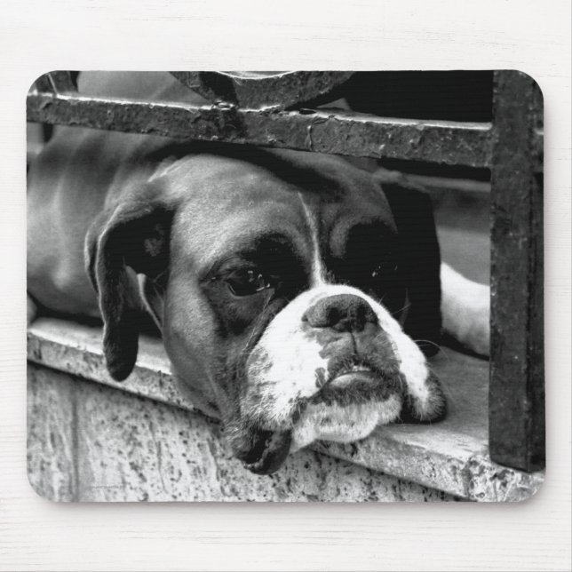 Boxer Hund auf Windows mpcnm Mousepad (Vorne)
