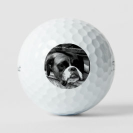 Boxer Hund auf Windows tpv1 gbcnm Golfball