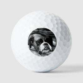 Boxer Hund auf Windows über gbcnm Golfball