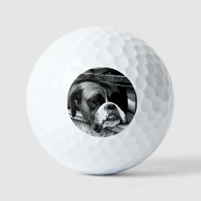 Boxer Hund auf Windows über gbcnm Golfball (Vorderseite)