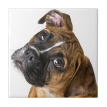 Boxer-Hund-Dekorfliese